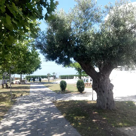 Skion Palace Hotel-bungalows & Boutique Nea Skioni