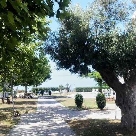 Skion Palace Hotel-bungalows & Boutique 4* Nea Skioni