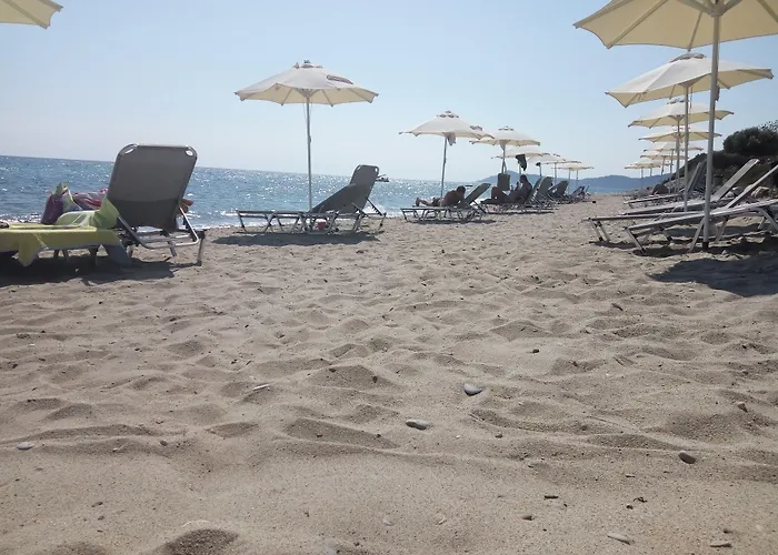 ホテル Skion Palace Hotel-bungalows & Boutique 4*