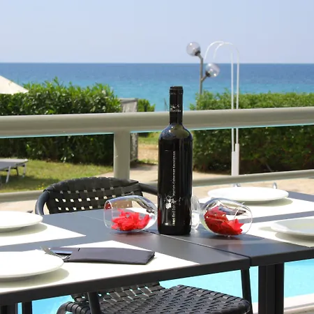 Skion Palace Hotel-bungalows & Boutique 尼尔斯吉尼