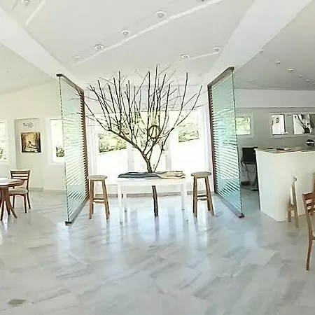 酒店 Skion Palace Hotel-bungalows & Boutique